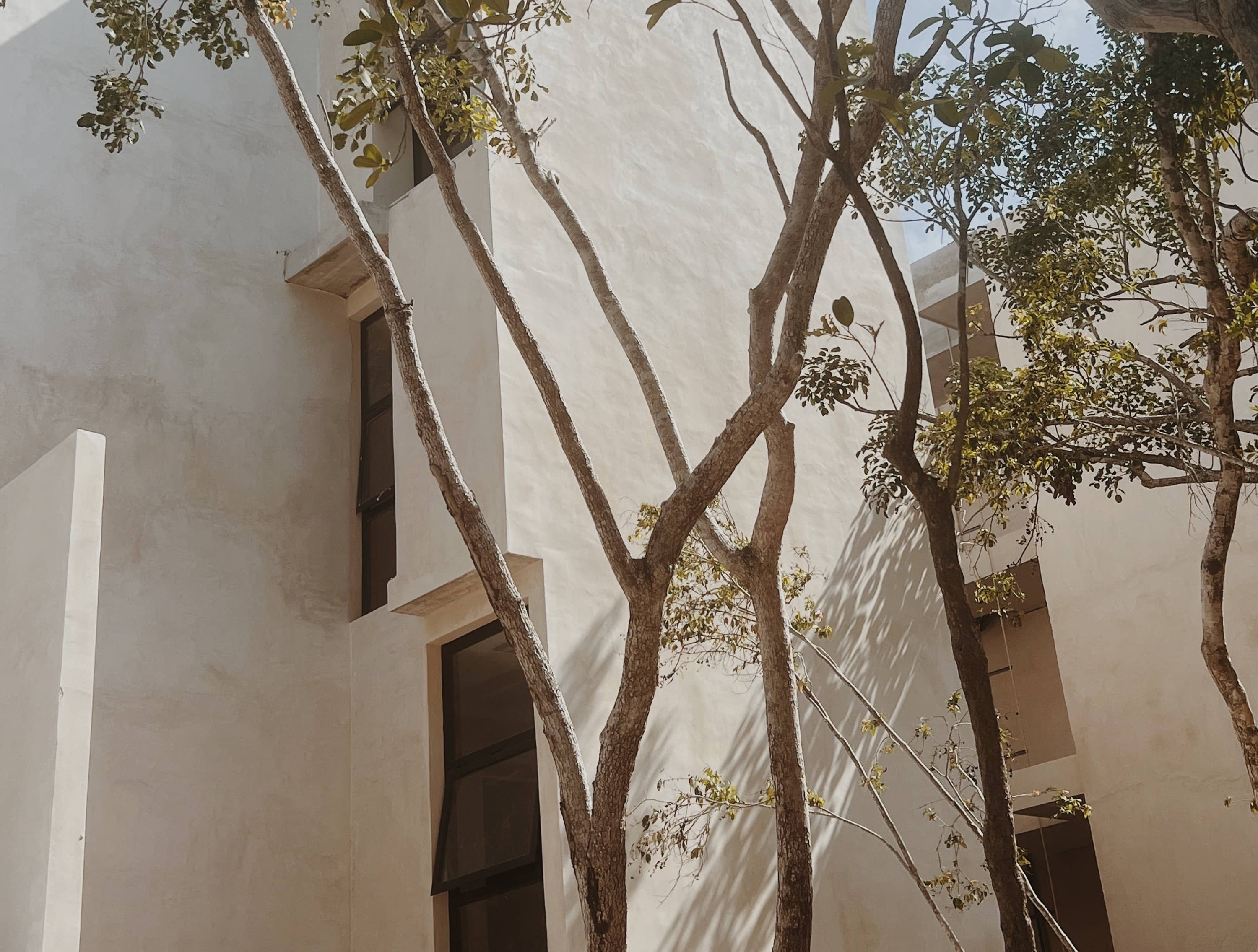 Image showcasing Tulum 101, The Essence of an Eco Conscious Design